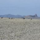 Namibia 02.2012. 044